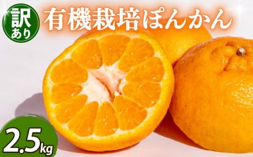 【早期予約 2026年2月上旬より順次発送】 訳あり ぽんかん 2.5kg サイズ混合 オーガニック 無農薬 防腐剤 不使用 有機 JAS認定 柑橘 みかん 蜜柑 家庭用 早期予約 期間限定 季節限定 数量限定 ふるさと納税柑橘 ふるさと納税ぽんかん TJ0011