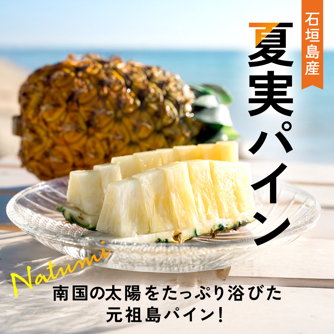 【先行予約】石垣島産 中玉 夏実パイン（島パイン）４玉 合計約3.8kg《2025年夏季 順次発送》【 産地直送 沖縄 石垣 フルーツ パイナップル パイン ハワイ 夏美パイン 】SI-125