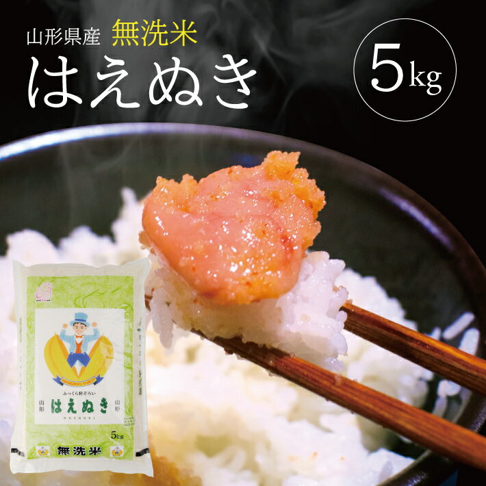 【ふるさと納税】無洗米 はえぬき 5kg 令和7年産米 山形県産 ご希望の時期頃お届け 米 精米 白米 庄内米 ごはん ご飯 庄内平野 酒田市 庄内 山形県 東北 セット 発送時期が選べる
