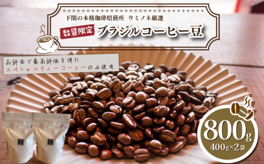 【中挽き】 訳あり コーヒー豆 800g ( 400g × 2袋 ) 数量限定 ブラジル 珈琲 自家焙煎 下関 山口 2025年度入荷分