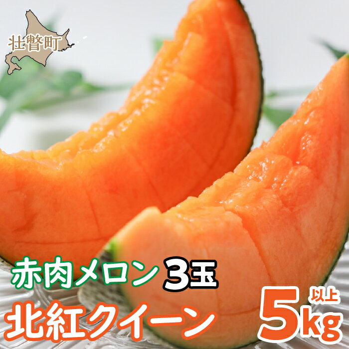 【ふるさと納税】＜2026年7月上旬よりお届け＞北海道壮瞥産 赤肉メロン「北紅クイーン」3玉入り 約5kg以上 【 ふるさと納税 人気 おすすめ ランキング メロン めろん 北紅クイーン 果物 甘い 赤肉 北海道 壮瞥町 送料無料 】SBTP005