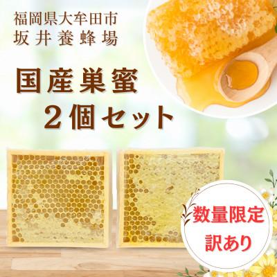ふるさと納税 大牟田市 訳あり　国産巣蜜(コムハニー) 2個セット