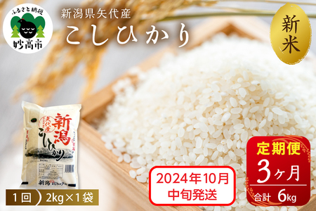 2024年10月中旬より発送【定期便】令和6年産 新潟県矢代産コシヒカリ2kg×3回（計6kg） 新潟県 上越 矢代産 白米 お取り寄せ