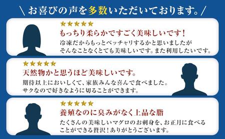 プレミア和歌山認証品 本マグロ（養殖）トロ＆赤身セット　240g【鮮魚 まぐろ マグロ 冷凍 まぐろ マグロ 新鮮まぐろ 特産マグロ 和歌山 本場まぐろ 本場マグロ 鮮魚 マグロ まぐろ 鮮度抜群マグ