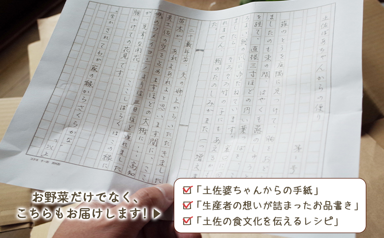 プライム株式会社 定期便3回コース 香南市産 旬のお野菜詰合せ(10〜13品目) - 送料無料 10〜13種類 やさい 季節の野菜 季節品 新鮮 お楽しみ おたのしみ お任せ おまかせ 詰め合わせ セ