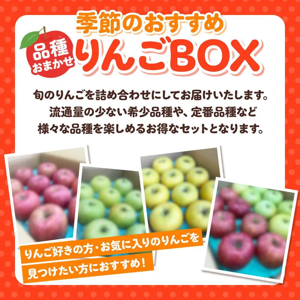りんご 季節のおすすめBOX 家庭用 約5kg 先行受付 9月発送 りんご
