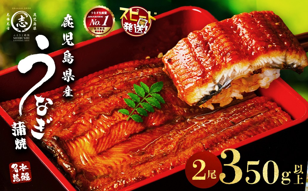 
                  【10営業日以内に発送】鰻 養殖 日本一！ 鹿児島県産 うなぎ 蒲焼 2尾 (計350g以上) 名水慈鰻 たれ・山椒付き うなぎ 鰻 ウナギ 2尾 かばやき うな重 ひつまぶし 冷凍 国産 鹿児島 【丑の日までに配送】【志布志市制20周年記念】
                