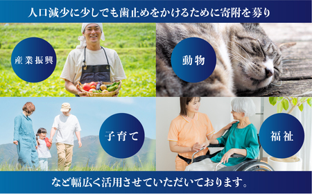 返礼品無しの寄附 2000000円