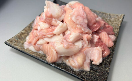 《 定期便 6ヵ月 》 秋田県 羽後町産 羽後和牛 ミックスホルモン 600g （300g×2）【 焼肉 ホルモン BBQ バーベキュー キャンプ 】