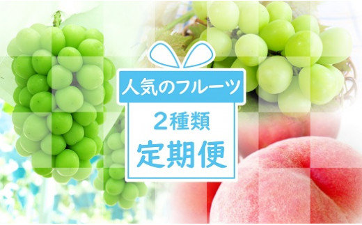 
2024年発送【ご家族で】市川三郷町フルーツ定期便（計2回）[5839-1953]
