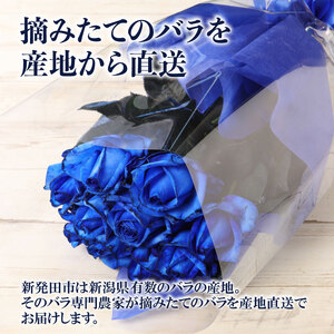 【日時指定可】青 バラ 花束 10本 ブーケ 薔薇 花束 G06_01