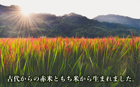 十穀米 糸島市 / 弥冨農園 雑穀米 雑穀 [ALA055]
