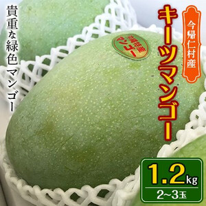 【先行受付・2025年8～10月頃発送予定】沖縄県今帰仁村産のキーツマンゴー1.2kg【配送不可地域：離島】【1439510】