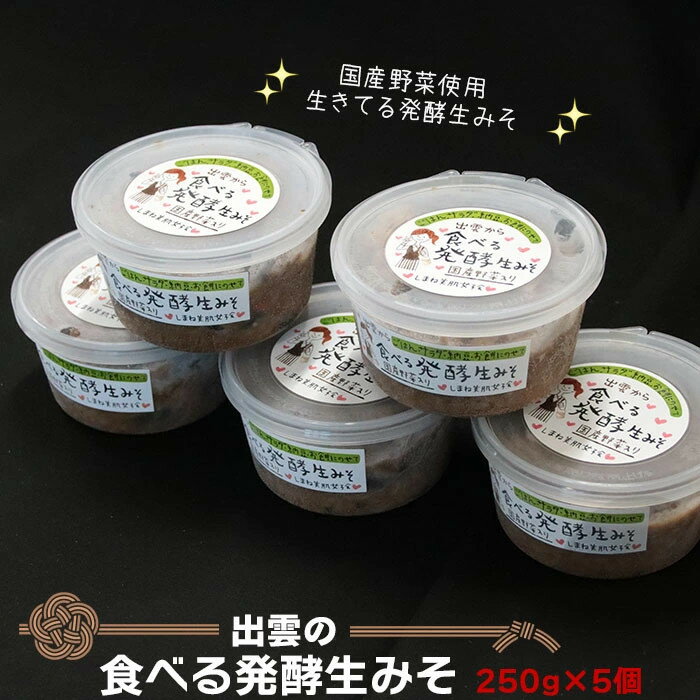 【ふるさと納税】出雲の食べる発酵 生 みそ 250g×5個 | 味噌 調理 料理 おかず きゅうり 豆腐 アレンジ 食事 家庭 昼食 夕食 冷蔵 お取り寄せ グルメ 人気 おすすめ 島根県 出雲市