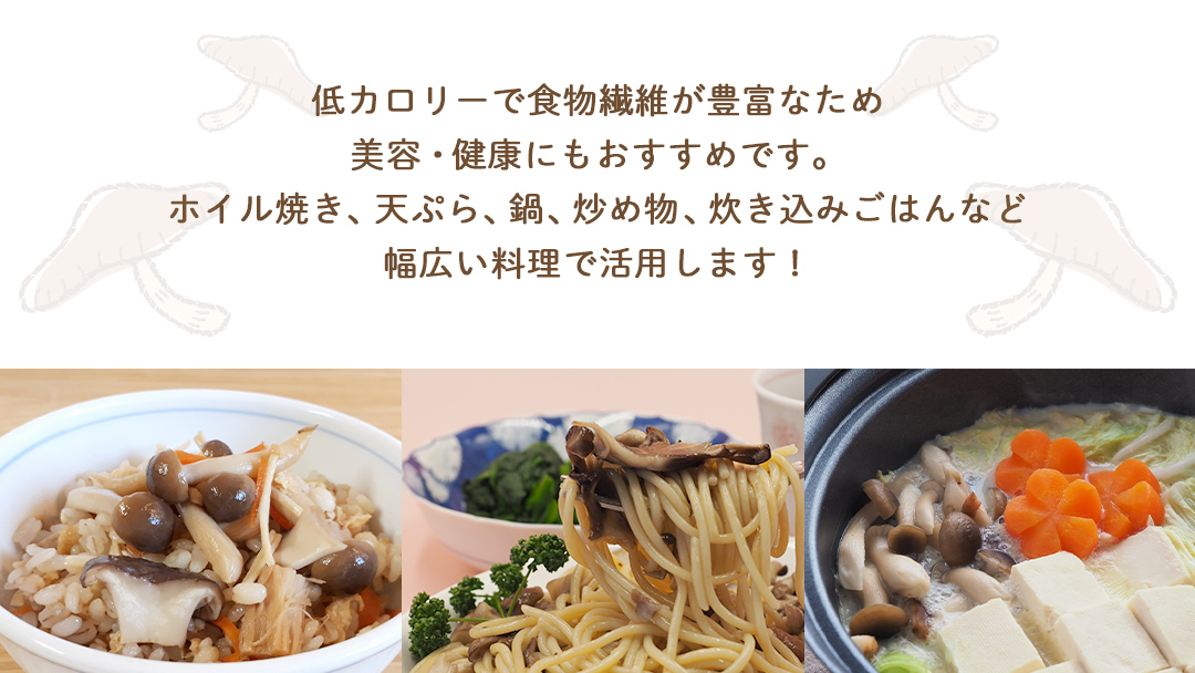 《 ３ヶ月 連続定期便 》 きのこ の 詰め合わせ Sサイズ 約1kg （茨城県共通返礼品 城里町） 定期便 キノコ 舞茸 あわび茸 たもぎ茸 しいたけ ぶなしめじ セット 鍋 炒め物 [CX005s