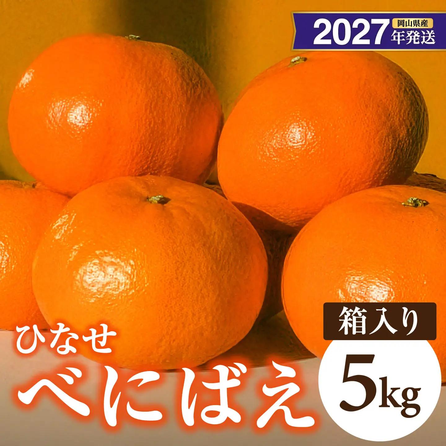 【先行予約】みかん ひなせべにばえ 約5kg（2027年1月頃発送）【べにばえ】