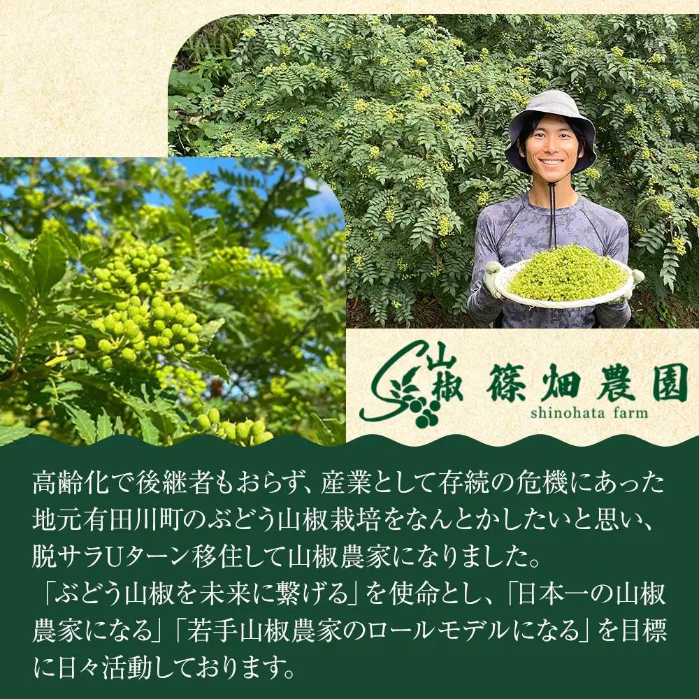 紀州ぶどう山椒【粒】 5袋  (合計40g) 篠畑農園