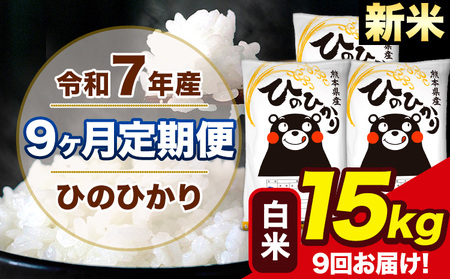 新米 令和7年産 【9ヶ月定期便】 ひのひかり 白米  15kg 5kg×3袋 計9回お届け 熊本県産 こめ コメ 精米 荒尾市 ひの 米 定期 《お申込み翌月から出荷》