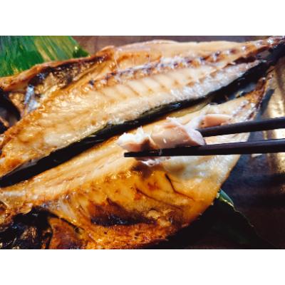 ふるさと納税 松浦市 【毎月定期便】大きな真あじ干物 6枚(約1200g) 全12回 |  | 02