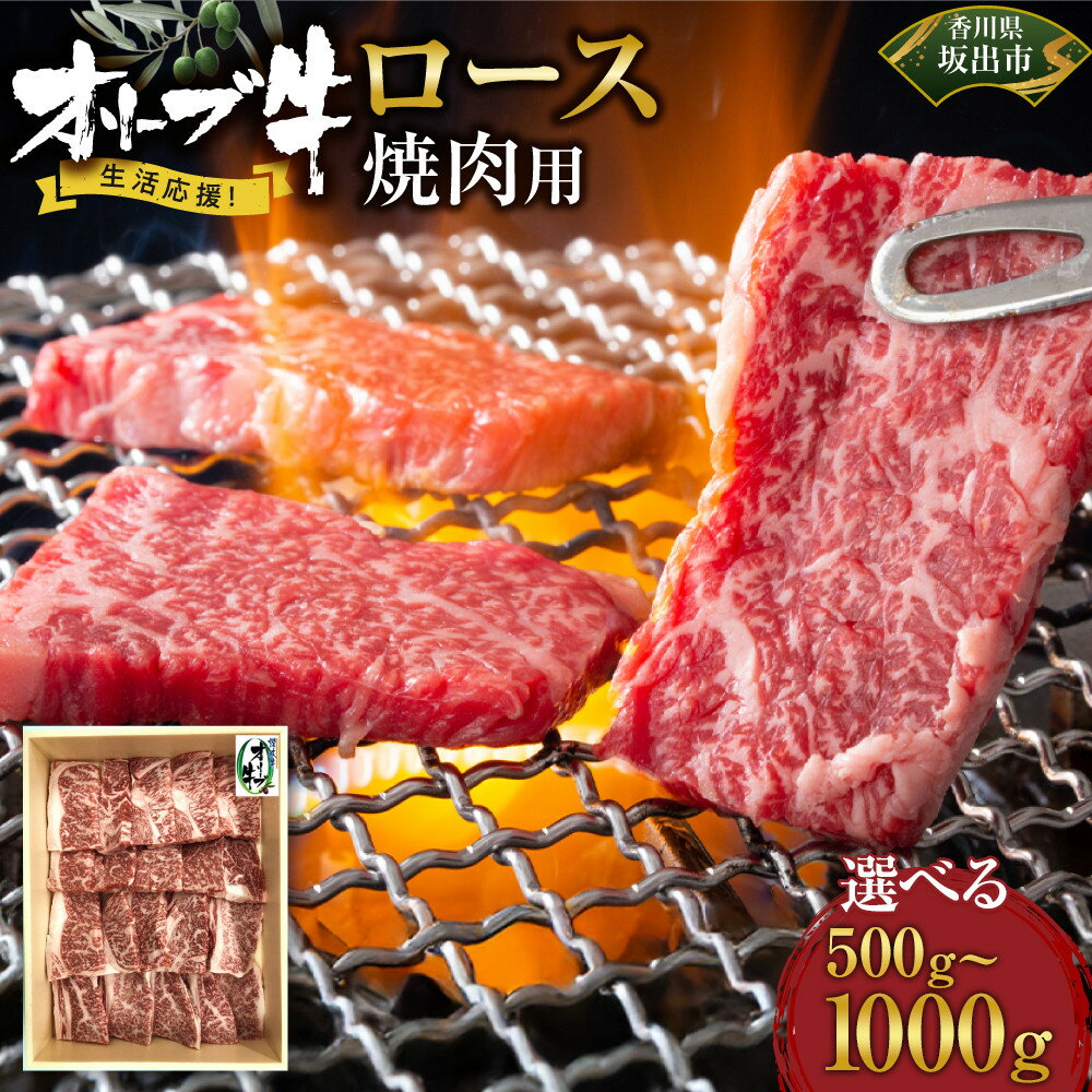 【ふるさと納税】【選べる内容量】《生活応援》オリーブ牛ロース焼肉用 | 肉 お肉 にく 牛肉 オリーブ牛 ロース 焼肉用 焼肉 やきにく 焼き肉 食品 香川県産 人気 おすすめ 送料無料 ギフト