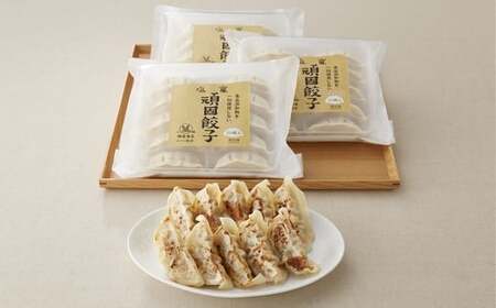 【髙島屋選定品】＜定期便＞「はちやの餃子」食べ比べコース【04203-0371】