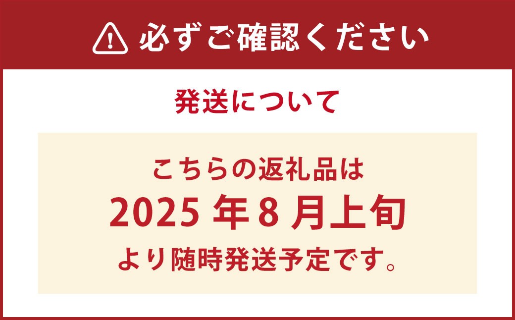 久住高原童心回帰農場の自然栽培 フローズン ブルーベリー 1㎏ 冷凍
