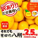 【ふるさと納税】八朔 訳あり それでも 有田の八朔 (はっさく) 箱込 2.5kg (内容量約 2.3kg) サイズミックス B品 和歌山県産 産地直送【おまけ付き】【みかんの会】 | みかん 八朔 和歌山 家庭用 和歌山県 有田川町 訳あり ふるさと納税 返礼品 故郷納税