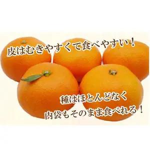 【愛媛みかん】 3kg みかん