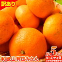 【ふるさと納税】【訳あり・ご家庭用】和歌山有田みかん 5kg（S～Lサイズいずれかお届け） 厳選館 《11月中旬-2月上旬頃出荷予定》 和歌山県 日高町 みかん 有田みかん 柑橘 フルーツ