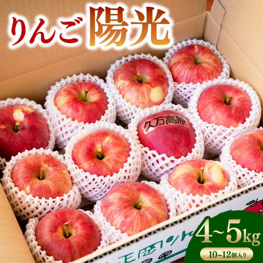 【ふるさと納税】りんご 陽光 中箱 4～5kg 10～12個 1箱 フルーツ 果物 リンゴ 林檎 おやつ デザート お取り寄せ 愛媛県産 国産 常温 送料無料 (530-1)【2025年10月上旬～10月下旬発送予定】【えひめの町（超）推し！（久万高原町）】