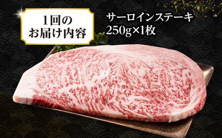 【全2回定期便】【A4～A5ランク】長崎和牛 サーロインステーキ 250g（250g×1枚）《壱岐市》【株式会社MEAT PLUS】 肉 牛肉 黒毛和牛 サーロイン ステーキ ご褒美 ギフト 贈答用 