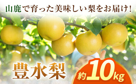 【先行予約】【数量限定】豊水梨　約10kg 【日本フルーツ株式会社】[ZFJ014]