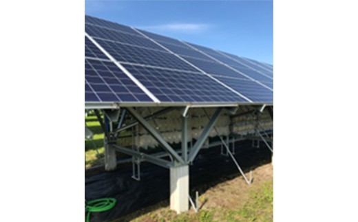 乾燥きくらげ（30g）×3袋　【02402-0425】