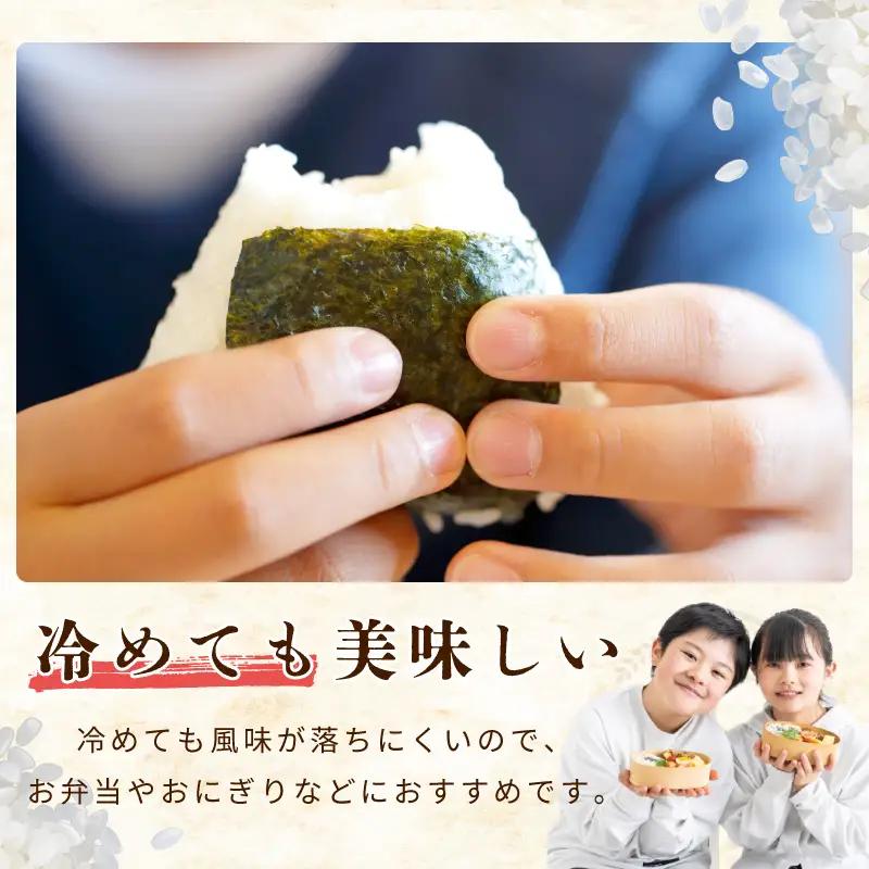 令和８年産 泉佐野産あきたこまち 10kg