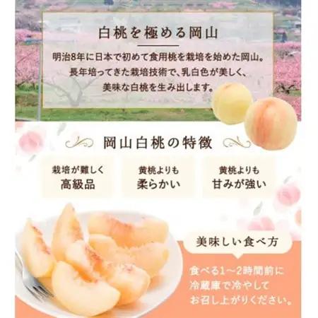 【先行受付】岡山県産　白桃 5玉(1.5kg以上) 等級:ロイヤル 木箱入り【配送不可地域：離島・北海道・沖縄県】【1499101】