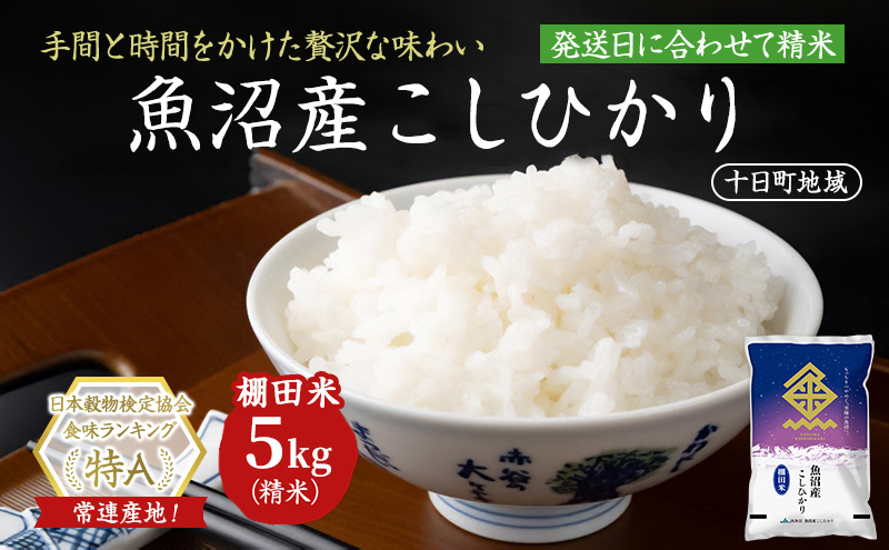 魚沼産こしひかり 棚田米(十日町地域) 精米 5kg 米 お米 コシヒカリ 十日町市