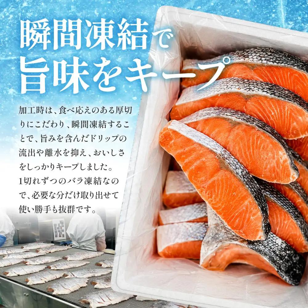 訳あり 銀鮭切り身 味付け 家庭用・弁当に最適 1kg 銀鮭
