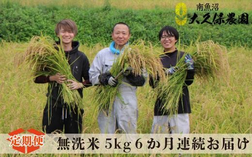 
                  【令和8年産新米予約】【６ヶ月定期便】南魚沼産コシヒカリ　特別栽培米　八富米　　無洗米５ｋｇ×全6回【2026年10月中旬から1ヶ月以内に順次発送予定】
                
