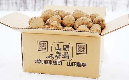 【訳あり】 北海道産 じゃがいも （男爵） 約3kg 山田農場 訳アリ 理由あり わけあり だんしゃく ジャガイモ 芋 いも 野菜 やさい ほくほく 北海道 京極町 常温 【2026年9月下旬-202
