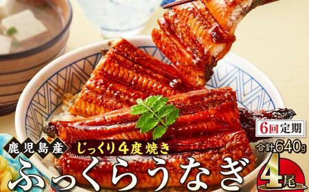 【6回定期】うなぎ 蒲焼 160g×4尾【鹿児島産】地下水で育てた絶品鰻