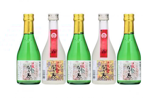 『決戦関ケ原』のみくらべ　300ml×5本セット