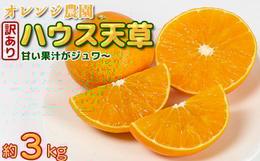 【年内発送】【訳あり・規格外品】九州のオレンジ「ハウス天草」約3～3.3kg みかん ミカン オレンジ 訳あり 先行予約 柑橘類 11月 12月 ＜114-003_5＞