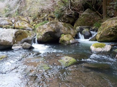 【日本製・渓流竿限定モデル】サンテック 粋渓 PROSPEC 硬中硬 RC 63 114-2