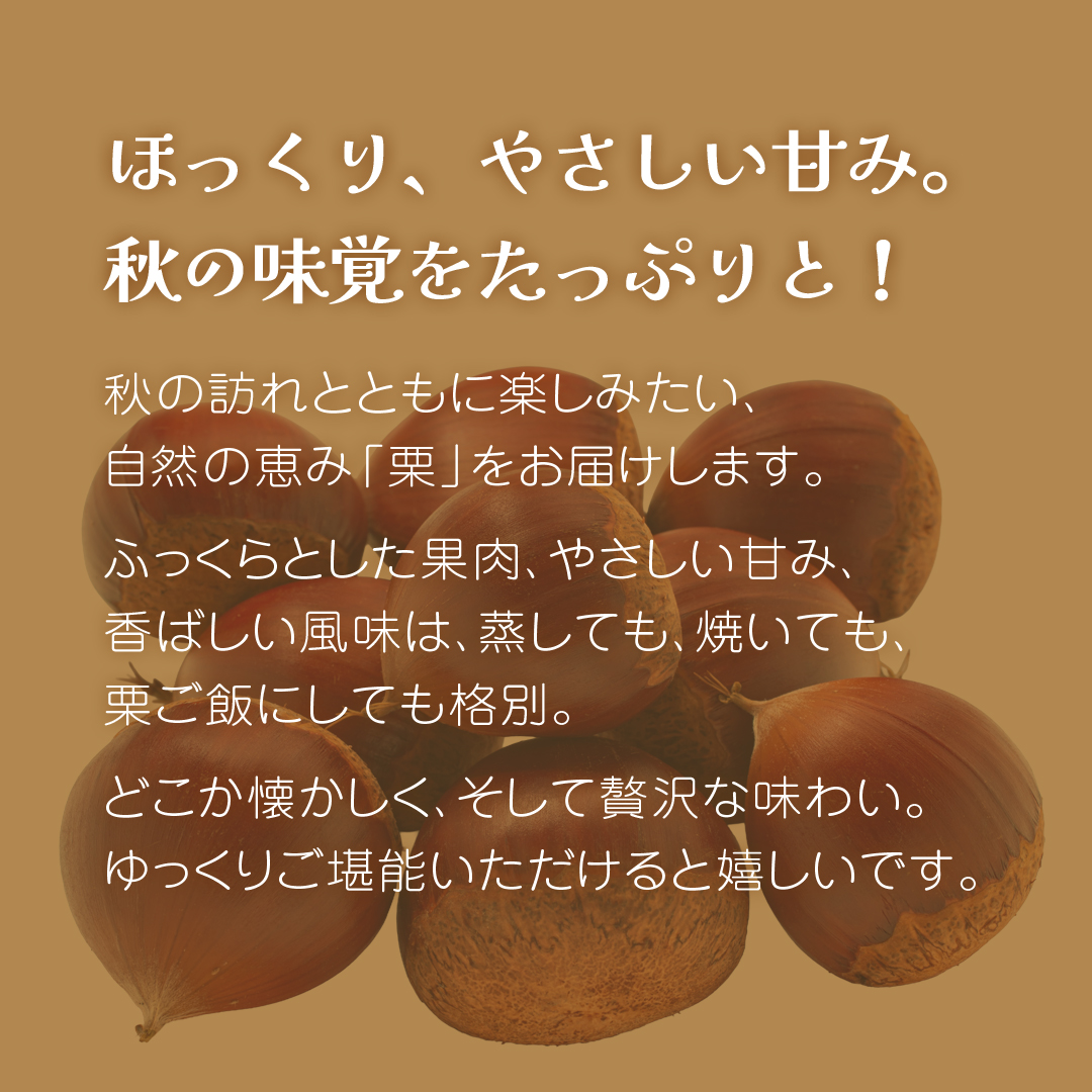 秋の味覚「 栗 」2kg 【2026年9月上旬発送開始】(茨城県共通返礼品：大子町) くり マロン 果物 スイーツ モンブラン 栗きんとん 生栗 焼き栗 甘栗