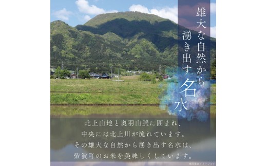★ 令和8年産 新米 ★【2ヶ月定期便】ひとめぼれ 10㎏ (無洗米) 米 こめ お米 ご飯 ライス 白米 ごはん 定期 岩手県産 10キロ (AE198)