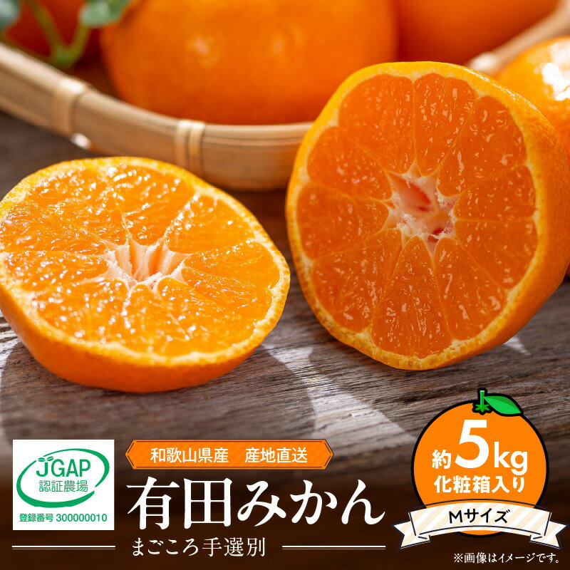 【ふるさと納税】【2026年先行予約】 和歌山県産 有田みかん 化粧箱入り 5kg Mサイズ【まごころ手選別】【ミカン 蜜柑 温州みかん 柑橘 和歌山 ギフト 贈答】