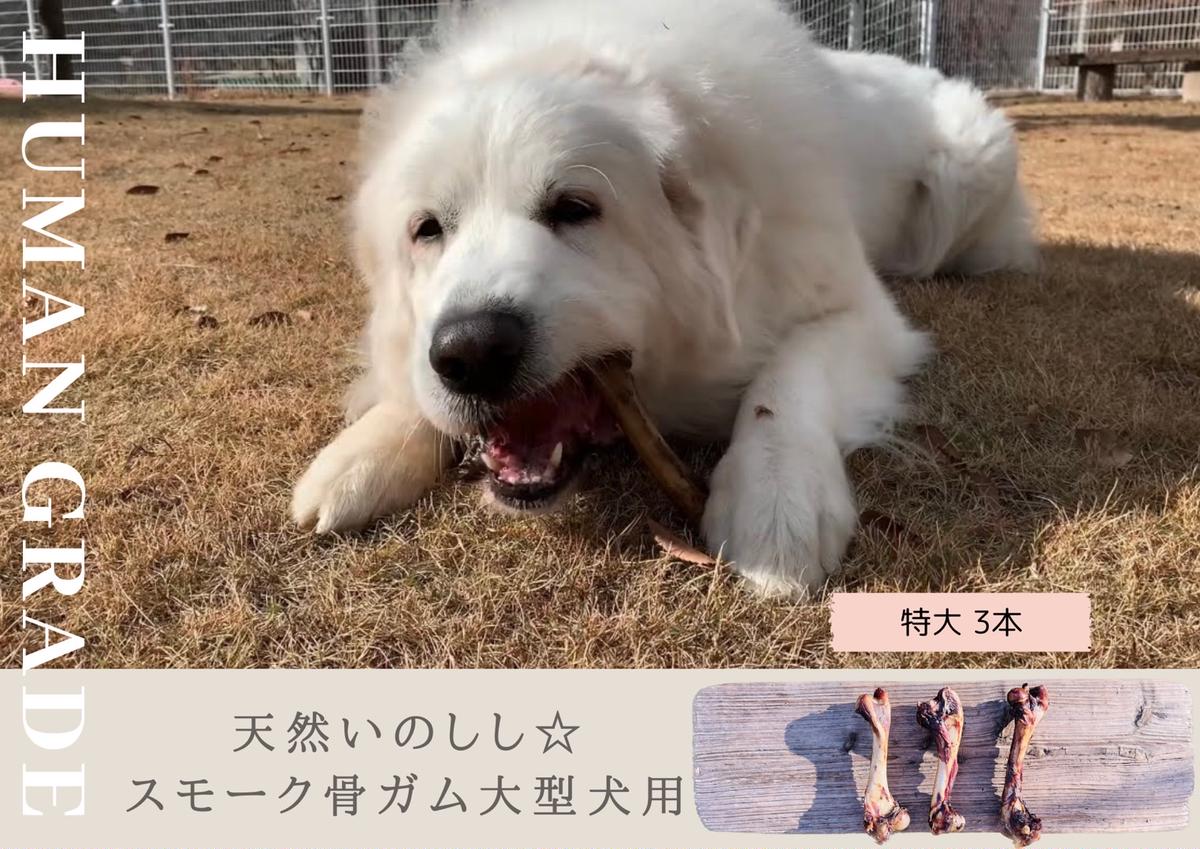 FB142　大型犬向け☆天然いのししのスモーク骨ガム3本