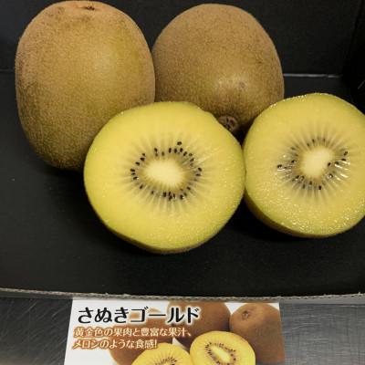 ふるさと納税 三豊市 【造田商店】さぬきゴールドキウイ　高糖度「黄様」8〜11個入り(約1.5kg) |  | 01