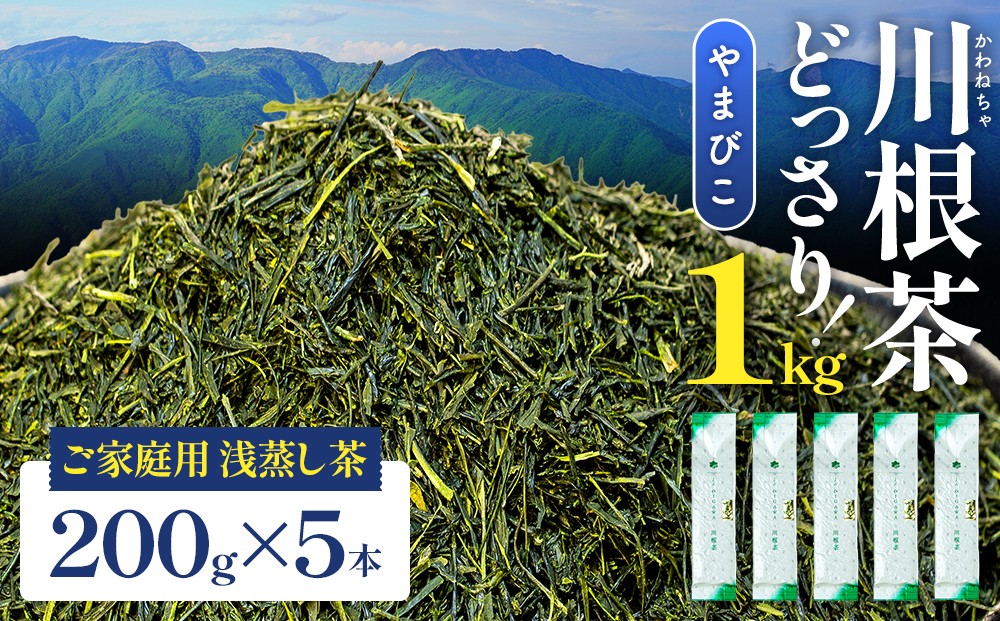 
                  16-6  川根茶 どっさり ご家庭用飲み茶 1ｋｇセット やまびこ　200ｇ袋×５本
                