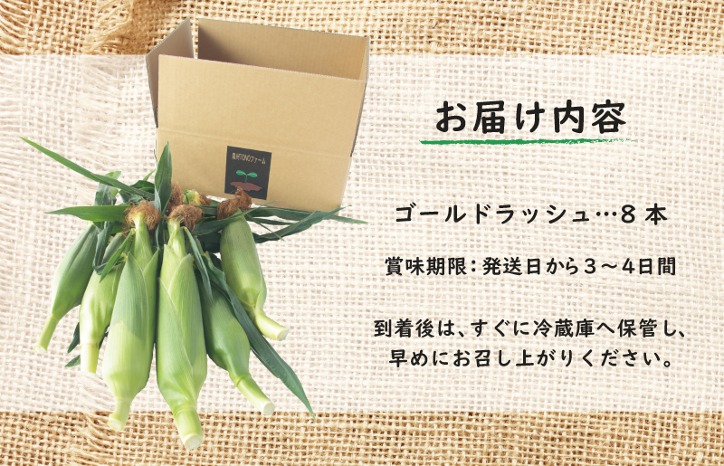 ゴールドラッシュ 8本【新鮮 野菜 泉佐野産 とうもろこし コーン やさい TONOファーム 高評価 数量限定 先行予約】 G1101